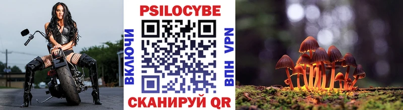 Купить  Бабушкин  Псилоцибиновые грибы Cubensis 