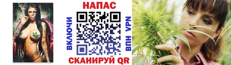 Бошки Шишки Ganja  Купить закладки  Бабушкин 